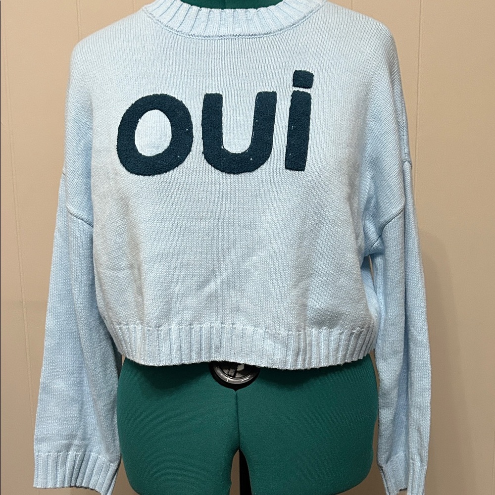 Sincerely Jules Light Blue 'Oui' Sweater